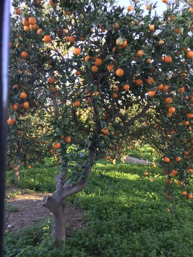 カントリーハウス Benahadux El Cortijo De La Abuelaゲストハウス スペイン
